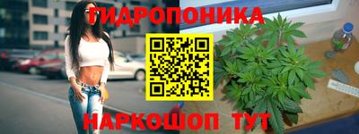 гидропоника Лесосибирск